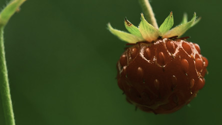 Similar image 22405704