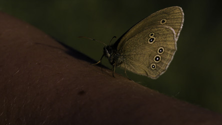 Similar image 22405749