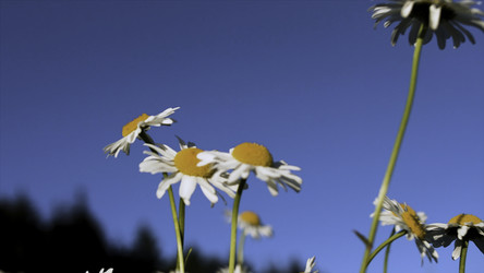 Similar image 22405807