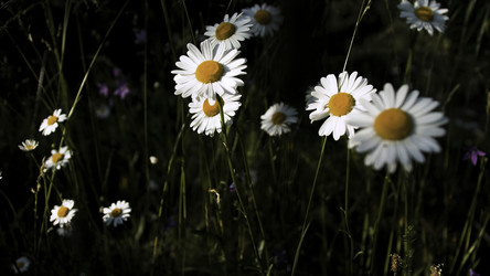 Similar image 22405838