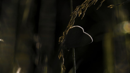 Similar image 22405854