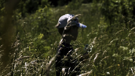 Similar image 22405884