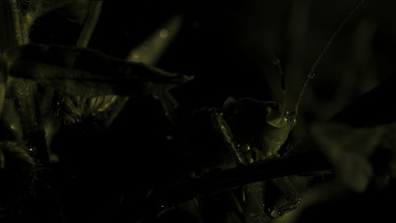 Similar image 22405942