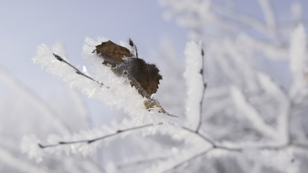 Similar image 22405957