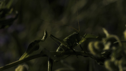 Similar image 22405987