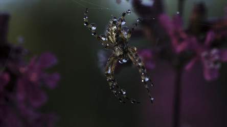 Similar image 22406181