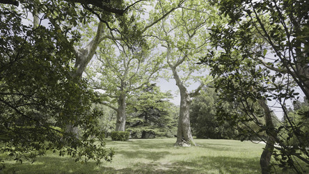 Similar image 22406198