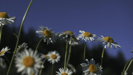 Similar image 22406361