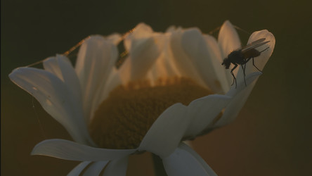 Similar image 22406423