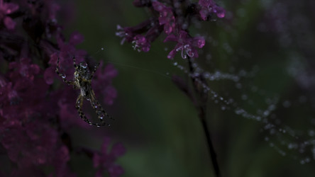 Similar image 22406558