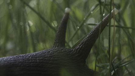 Similar image 22406738