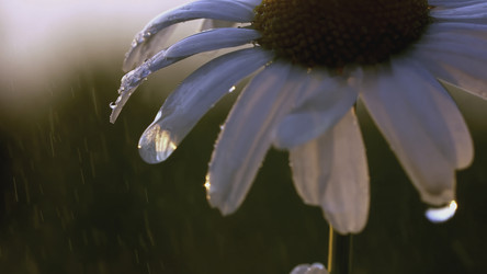 Similar image 22406782