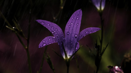 Similar image 22406795