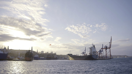 Similar image 22406843