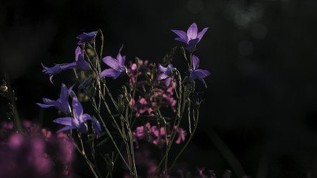 Similar image 22406873