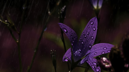 Similar image 22407146