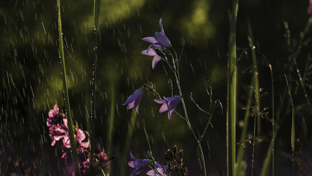 Similar image 22407204