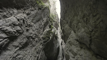 Similar image 22407290