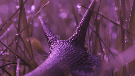 Similar image 22407412