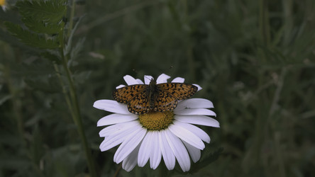 Similar image 22407486