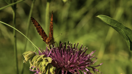 Similar image 22407519