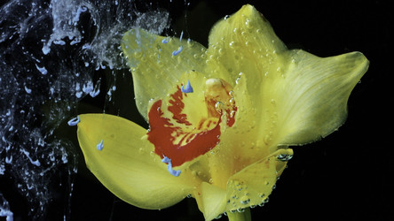 Similar image 22407533