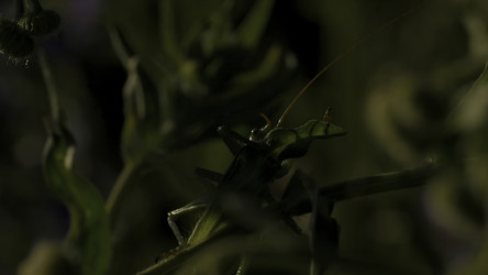 Similar image 22407604