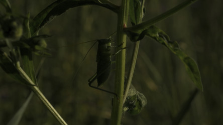 Similar image 22407691