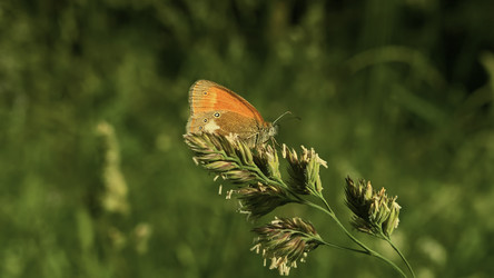 Similar image 22407736