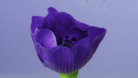 Similar image 22407750