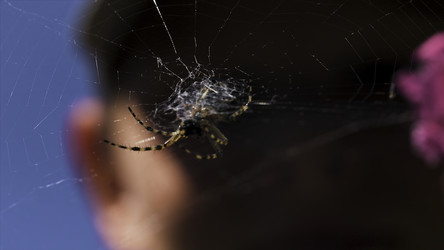 Similar image 22407766