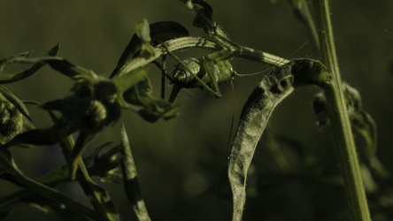 Similar image 22407795