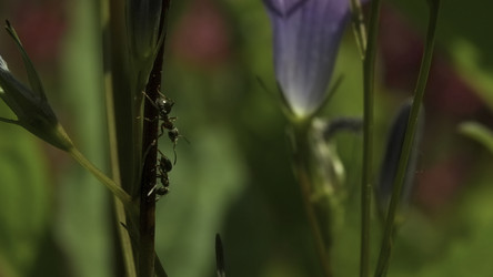 Similar image 22407841