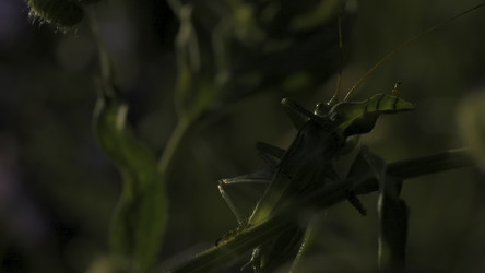 Similar image 22407855