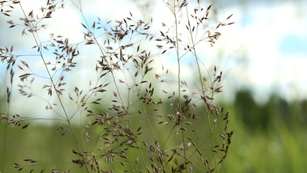 Similar image 22407886