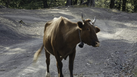 Similar image 22407901