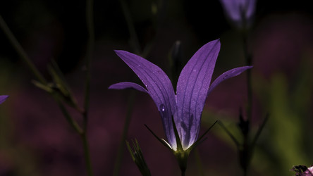 Similar image 22407915