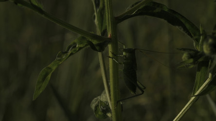 Similar image 22407930