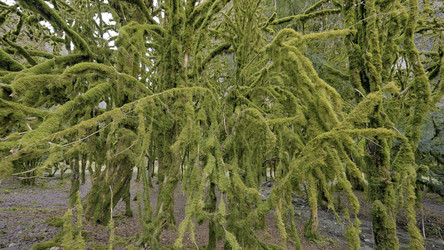 Similar image 22407945