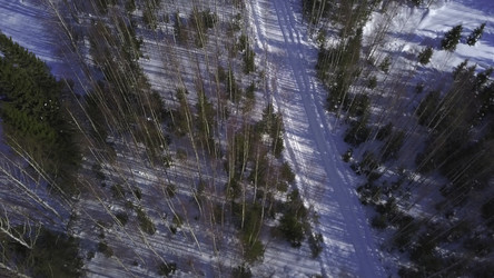 Similar image 22407946