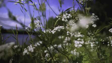 Similar image 22407960