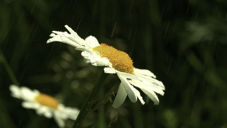 Similar image 22408005