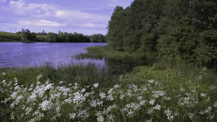 Similar image 22408035