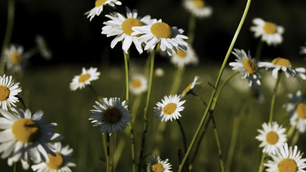 Similar image 22408051