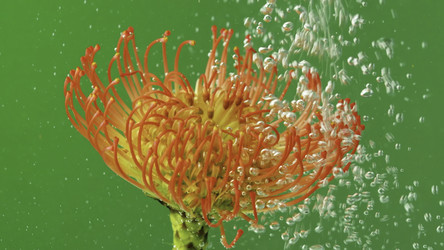 Similar image 22408065