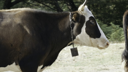 Similar image 22408066