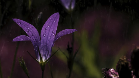 Similar image 22408080