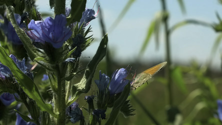 Similar image 22408170