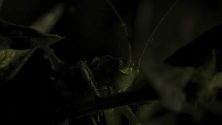 Similar image 22410046