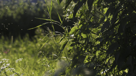 Similar image 22410061